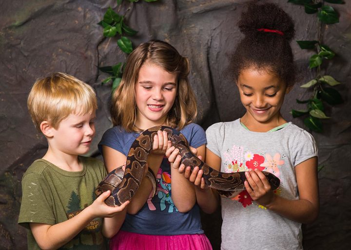 Three children holding snakes in their hands.