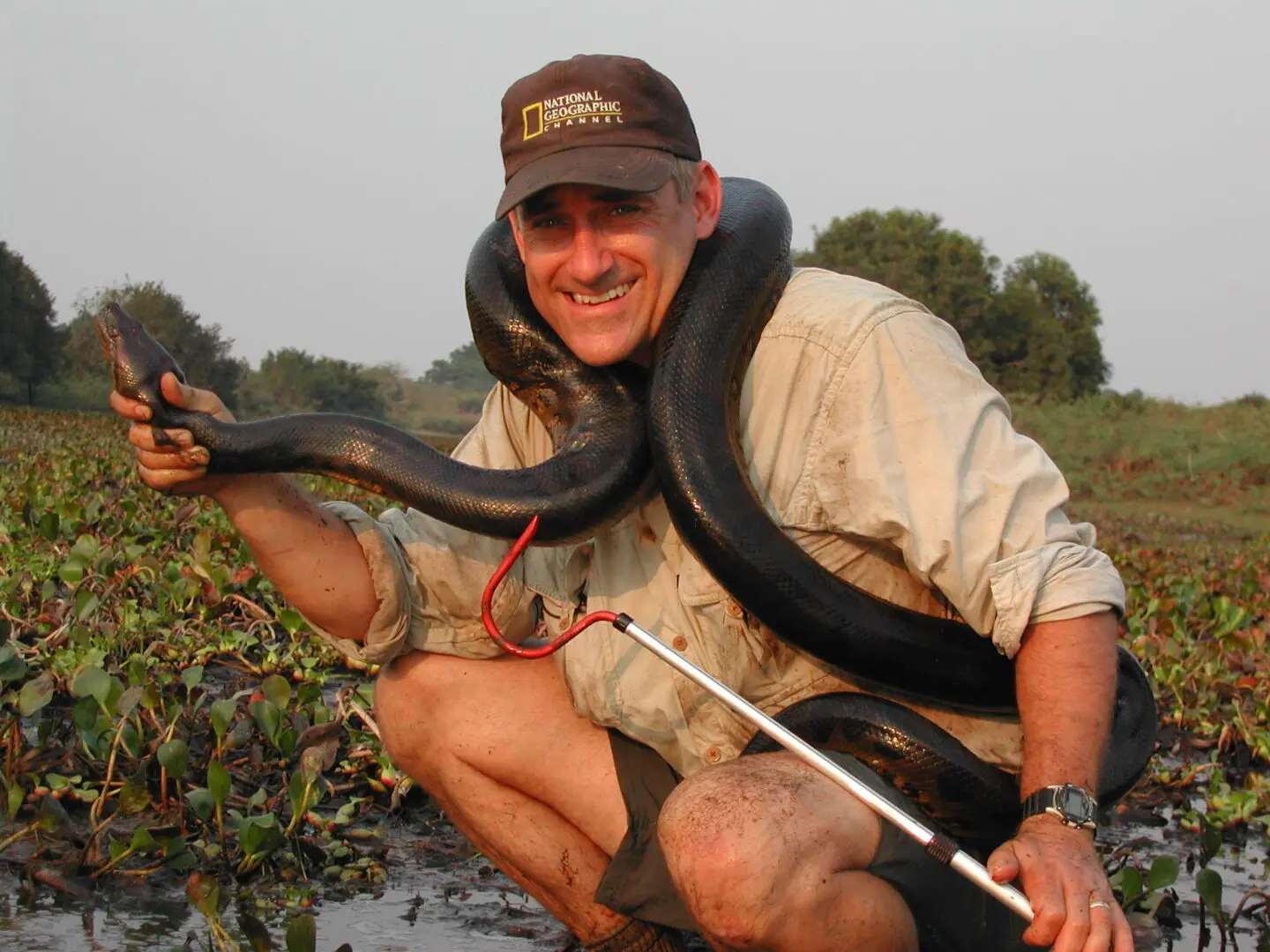 A man holding a snake in his hand.