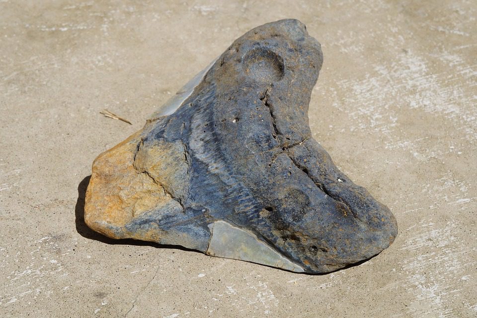 A rock that is sitting on the ground.