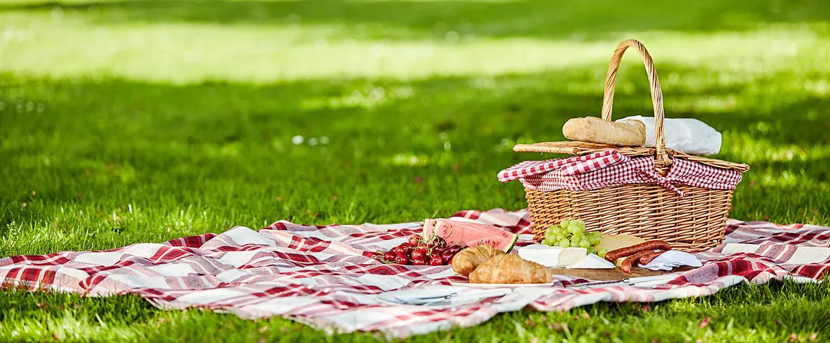 A picnic basket with food on it in the grass.