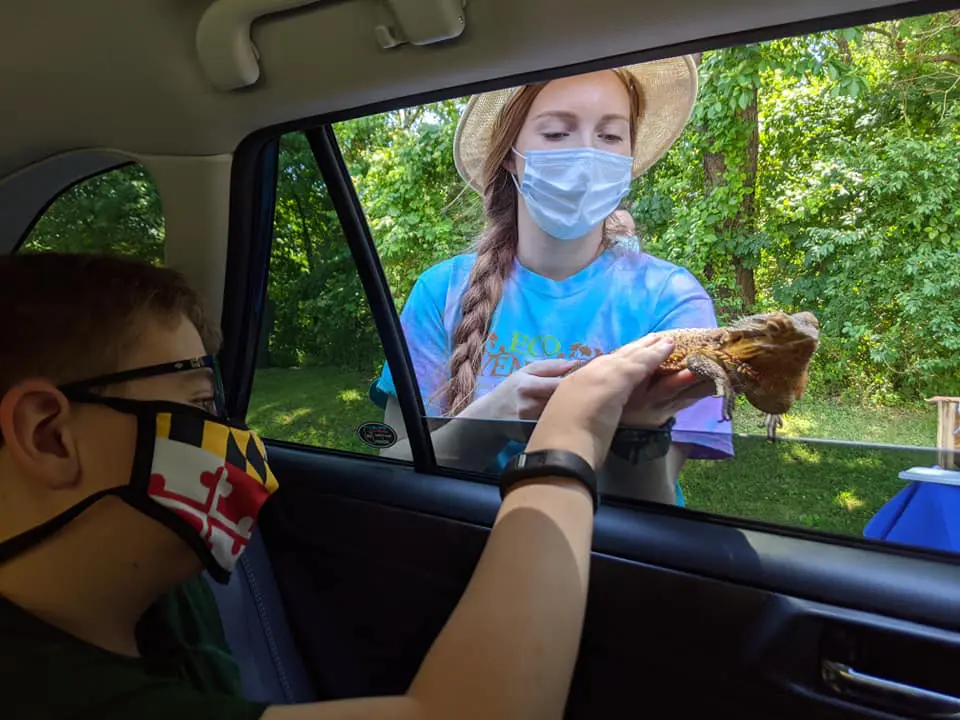 A woman in the back of a car looking at a picture.