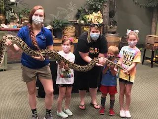 A group of people holding snakes in their hands.