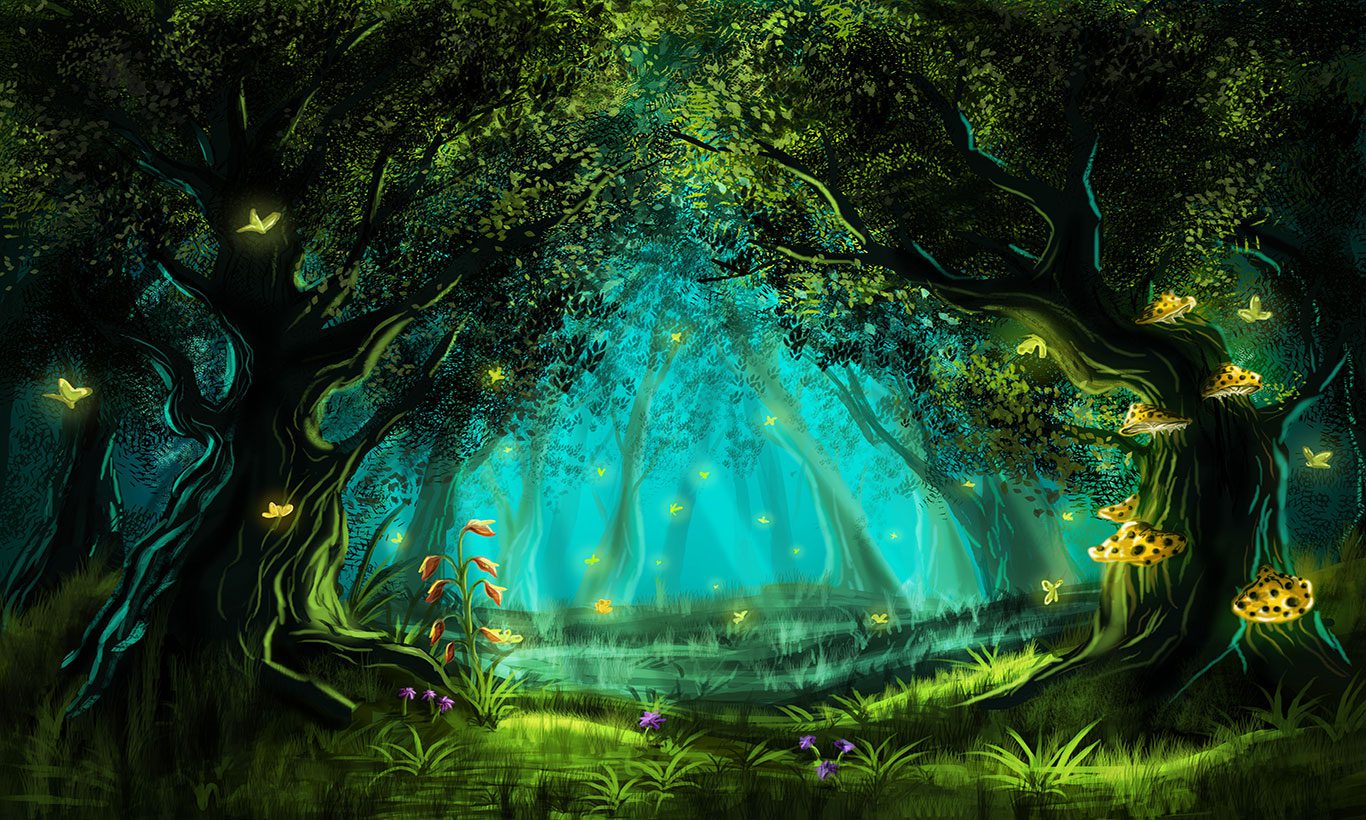 Enchanted Forest Eco Adventures