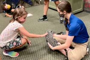 A girl and boy playing with a toy alligator.