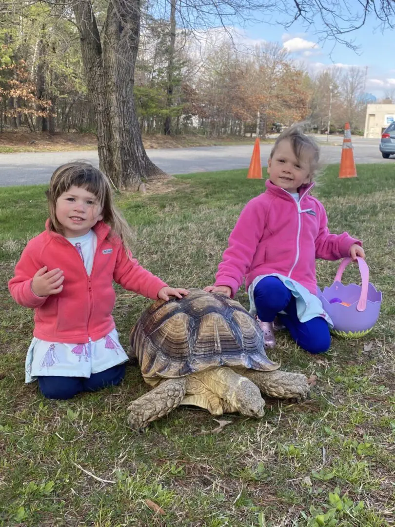 Two girls sitting on the grass with a turtle.