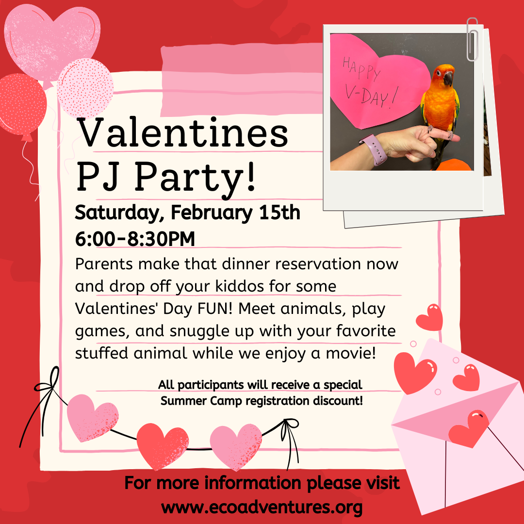 Valentines Party