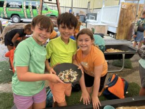 Fossil Dig 2