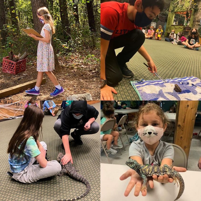 A collage of photos with children playing and learning.