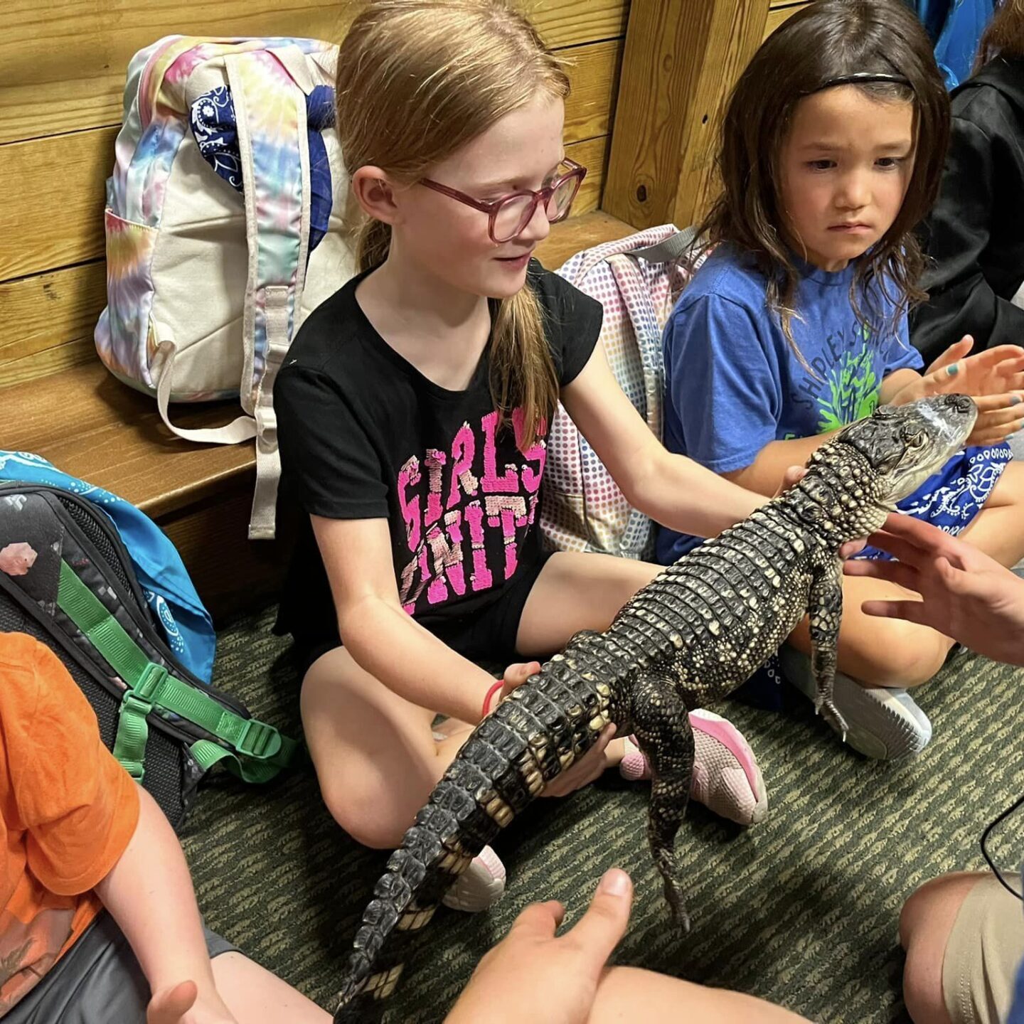 Alligator camp