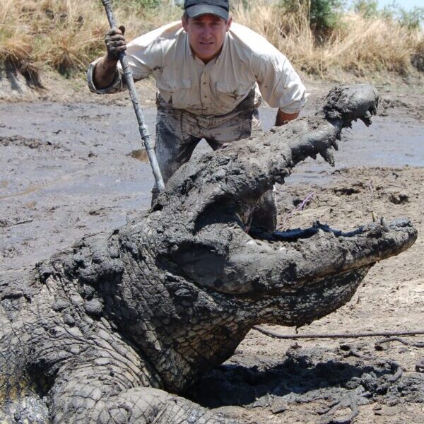 A man in the mud with an alligator.