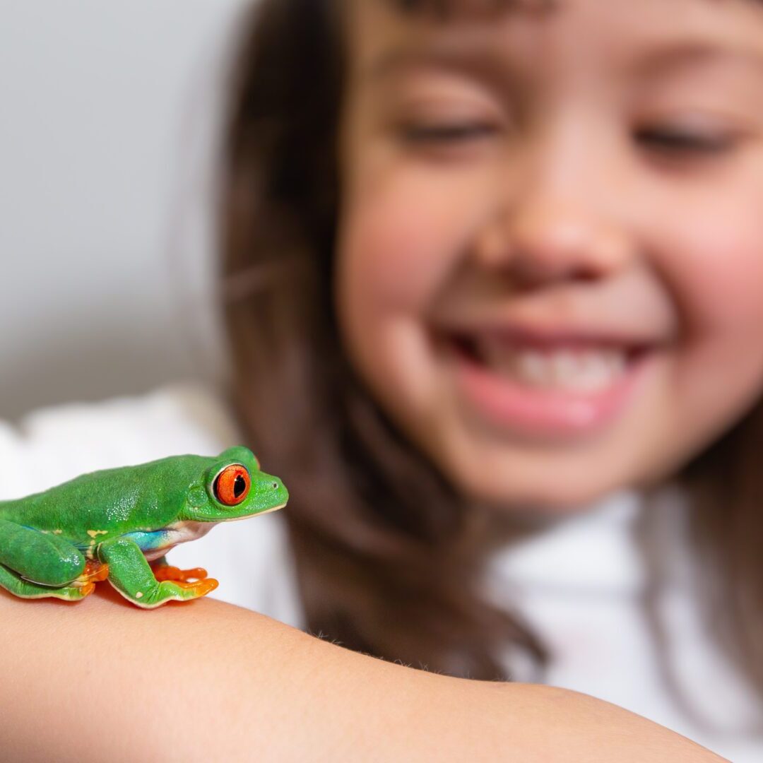 A girl smiling and holding onto a tree frog