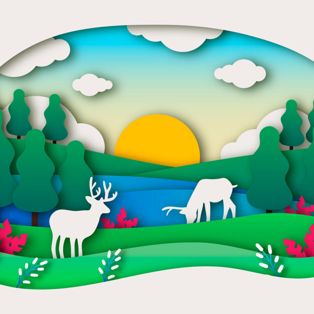 Paper Meadow