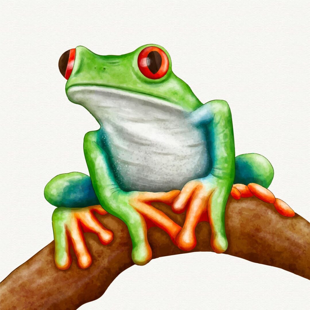 frog